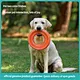Outdoor training dog